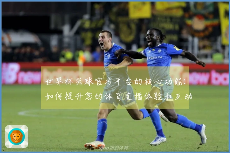 世界杯买球官方平台的核心功能：如何提升您的体育直播体验和互动乐趣