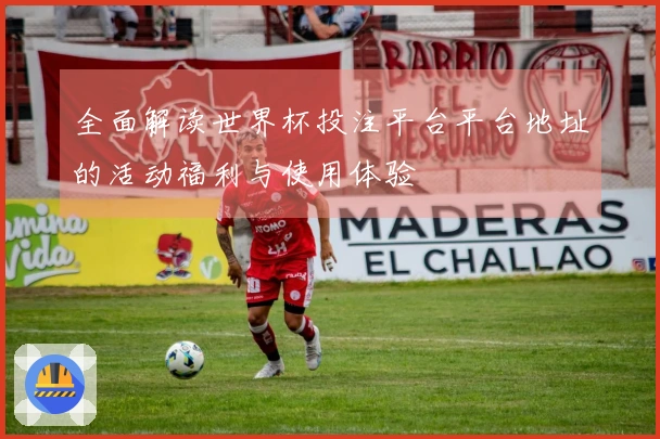 全面解读世界杯投注平台平台地址的活动福利与使用体验
