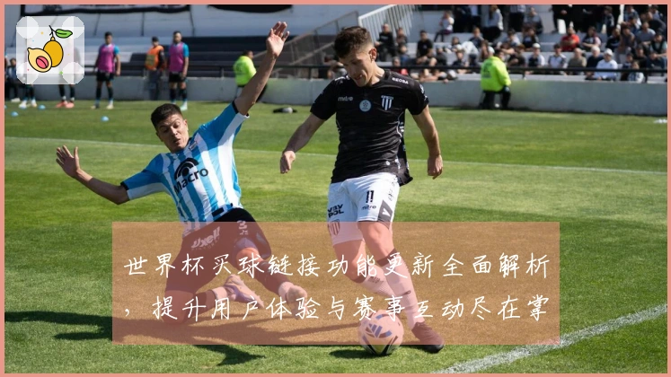 世界杯买球链接功能更新全面解析，提升用户体验与赛事互动尽在掌握