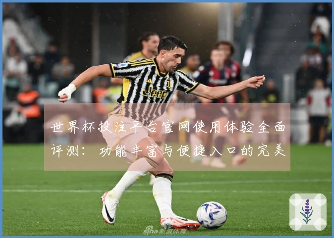 世界杯投注平台官网使用体验全面评测：功能丰富与便捷入口的完美结合