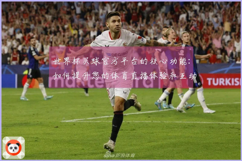 世界杯买球官方平台的核心功能：如何提升您的体育直播体验和互动乐趣