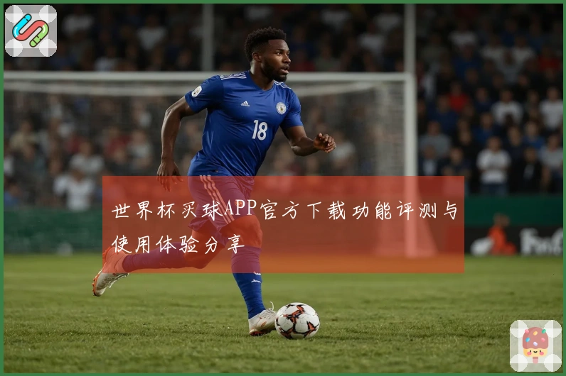 世界杯买球APP官方下载功能评测与使用体验分享