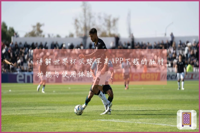 详解世界杯买球苹果APP下载的独特功能与使用体验