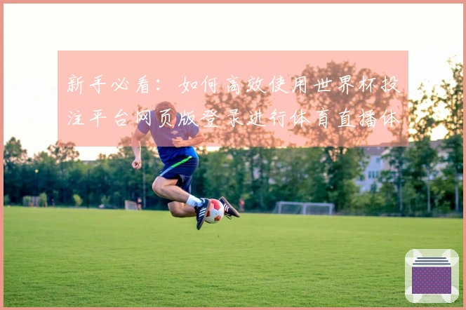 新手必看：如何高效使用世界杯投注平台网页版登录进行体育直播体验