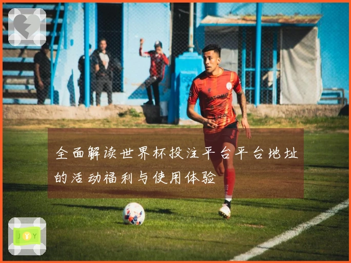 全面解读世界杯投注平台平台地址的活动福利与使用体验