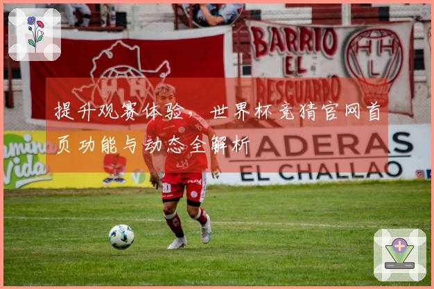 提升观赛体验，世界杯竞猜官网首页功能与动态全解析