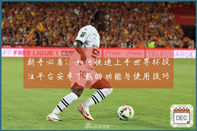 新手必看：如何快速上手世界杯投注平台安卓下载的功能与使用技巧