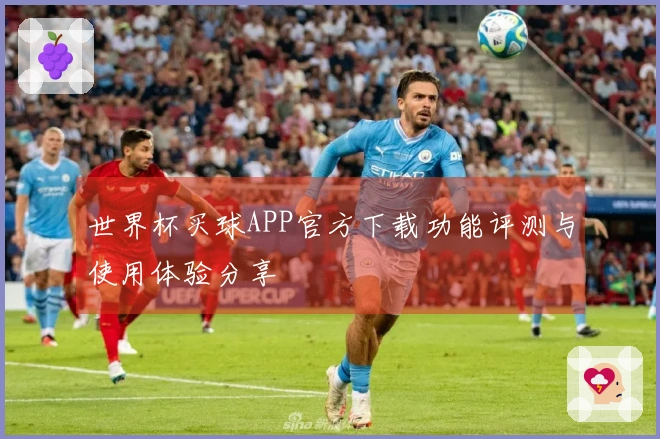 世界杯买球APP官方下载功能评测与使用体验分享