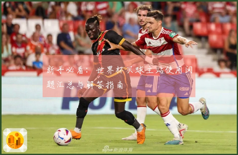 新手必看：世界杯买球主站使用问题汇总与解答指南