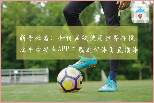新手必看：如何高效使用世界杯投注平台安卓APP下载进行体育直播体验